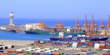 واردات المملكة من المواشي تقفز 127% في يوليو