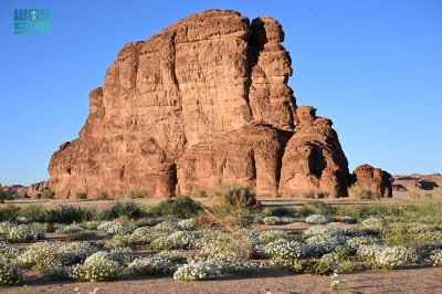وجهتان للعُلا بقائمة تايم لأعظم الأماكن في العالم