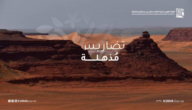 يعود بعضها لثمانية آلاف سنة قبل الميلاد.. معالم فريدة تحتضنها محمية "سلمان الملكية"