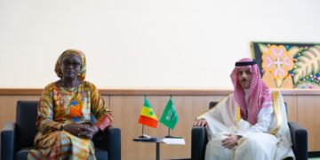 وزير الخارجية يبحث آخر التطورات الإقليمية والدولية مع نظيرته السنغالية