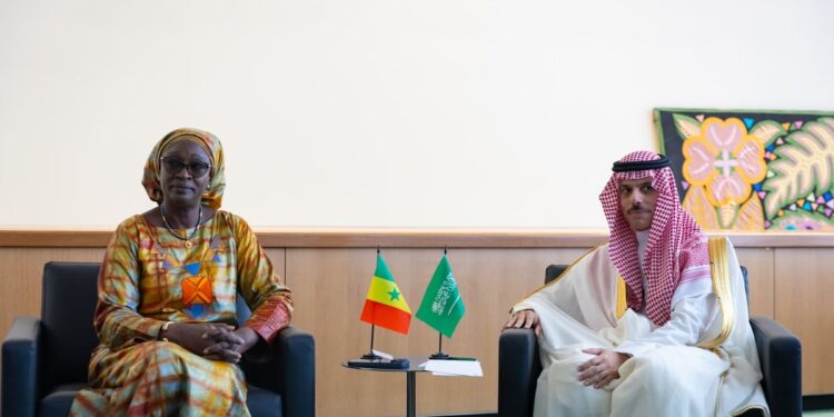 وزير الخارجية يبحث آخر التطورات الإقليمية والدولية مع نظيرته السنغالية
