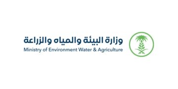 558 مليون كجم.. المملكة تسجل رقمًا قياسًا في إنتاج لحوم الدواجن بالنصف الأول 2024
