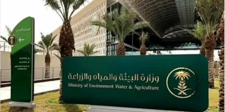 "البيئة" تطرح فرصة استثمارية لإنتاج وتسويق الخضروات والفواكه بمنطقة مكة المكرمة