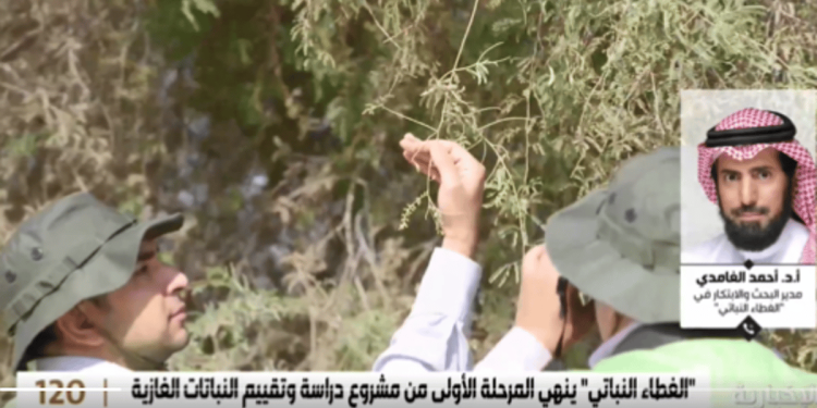 "الغطاء النباتي": هناك نباتات تشكل خطرًا على الإنسان وبعضها يباع في المشاتل