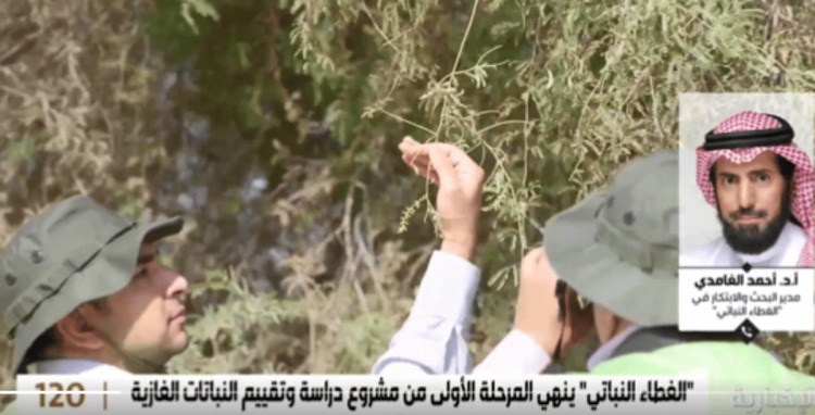 "الغطاء النباتي": هناك نباتات تشكل خطرًا على الإنسان وبعضها يباع في المشاتل