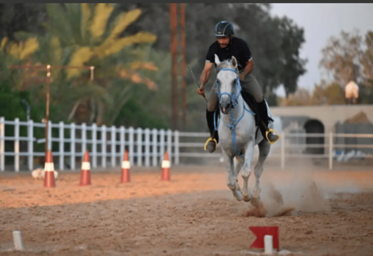 اتحاد الفروسية يختتم أولى بطولات موسمه الجديد بإقامة بطولتي التقاط الأوتاد والرماية