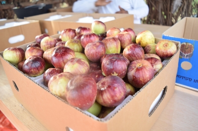 التين والعنب الأكثر طلباً بموسم الفواكه