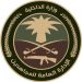 القبض على مواطن لنقله 9 مخالفين لنظام أمن الحدود بجازان