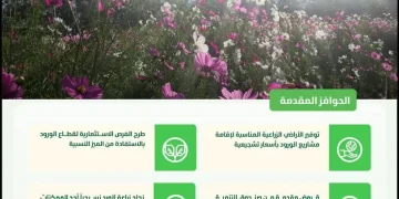 المملكة تُعلن توطين زراعة وإنتاج الورد لتلبية الطلب المتزايد وفتح أسواقٍ جديدة لتصدير الورد السعودي