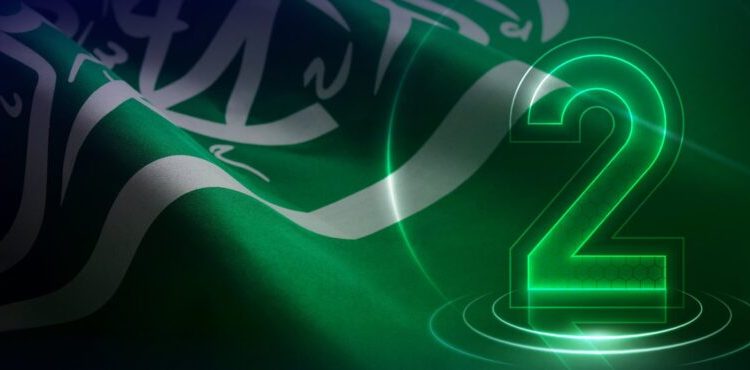 المملكة ثاني دول مجموعة العشرين في مؤشر الأمم المتحدة للبنية التحتية للاتصالات TII