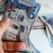 كيفية الاستعلام عن استحقاق معاش الضمان الاجتماعي.. وسيلتان لمعرفة نتائج الأهلية