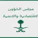 مجلس الشؤون الاقتصادية والتنمية يناقش عدداً من الموضوعات عن بُعد
