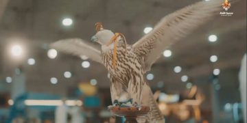 محمية «الإمام تركي الملكية» تختتم مشاركتها بمعرض كتارا للصيد والصقور في قطر