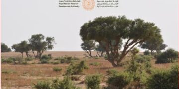 محمية الإمام تركي بن عبدالله الملكية: استخدام التقنيات قلل الانبعاثات الكربونية بنسبة 66٪