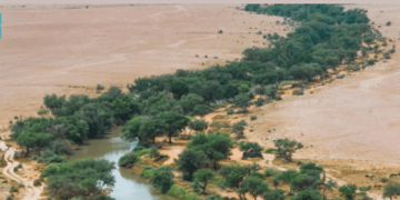 محمية الملك عبدالعزيز الملكية تحظر الصيد ضمن نطاقها
