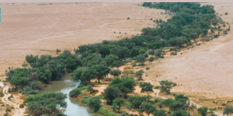 محمية الملك عبدالعزيز الملكية تحظر الصيد ضمن نطاقها