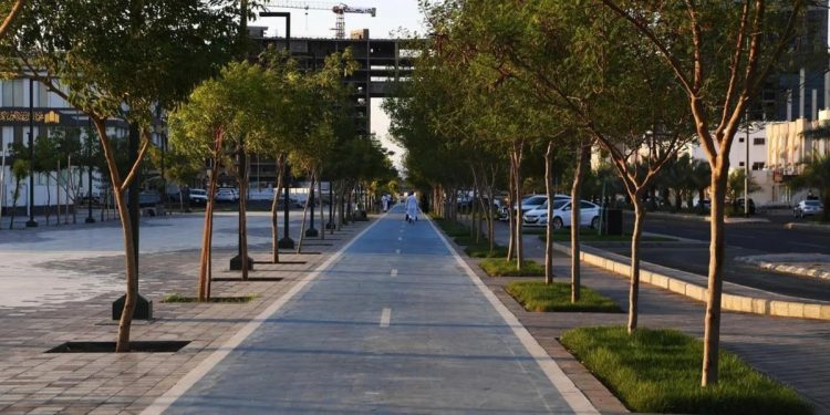 مشروعات تأهيل وتطوير الحدائق والمزارع توفّر وجهات سياحية لأهالي وزوار المدينة المنورة
