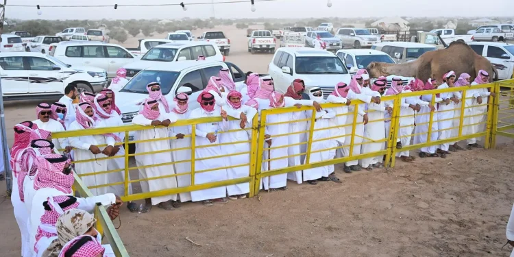 مهرجان جادة الإبل في الطائف يشكل حراكًا اقتصادياً ويسجل أرقاماً قياسية
