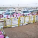 مهرجان جادة الإبل في الطائف يشكل حراكًا اقتصادياً ويسجل أرقاماً قياسية