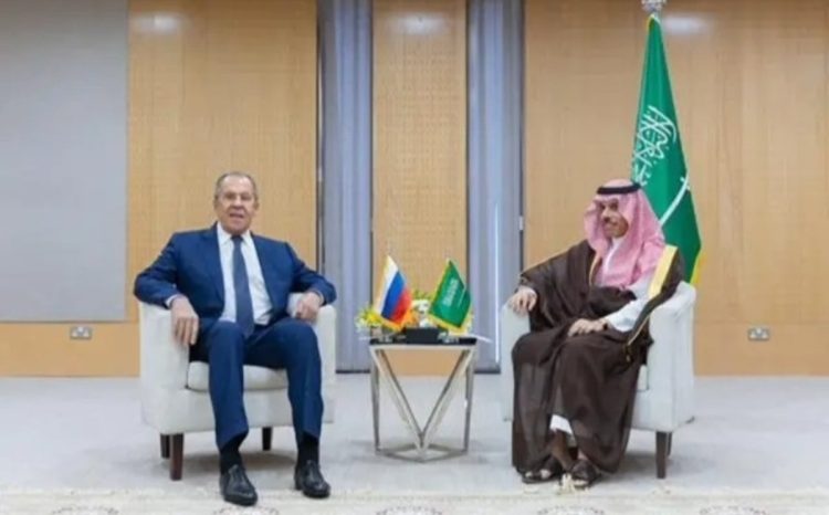 وزير الخارجية ونظيره الروسي  يناقشان آخر تطورات الأوضاع الإقليمية والدولية