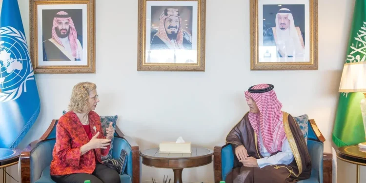 وزير الدولة للشؤون الخارجية يلتقي المديرة التنفيذية لبرنامج الأمم المتحدة للبيئة