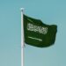 الاستثمار الأجنبي المباشر يتجاوز مستهدف الاستراتيجية الوطنية للاستثمار بنمو 16% في 2023