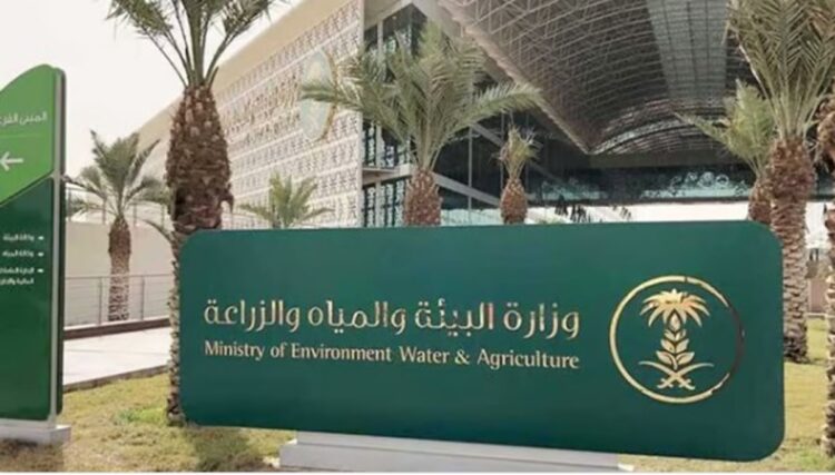 "البيئة": انتشار أشجار الشيكو في المملكة خطوة رائدة نحو تنويع الإنتاج ودعم التنمية المستدامة