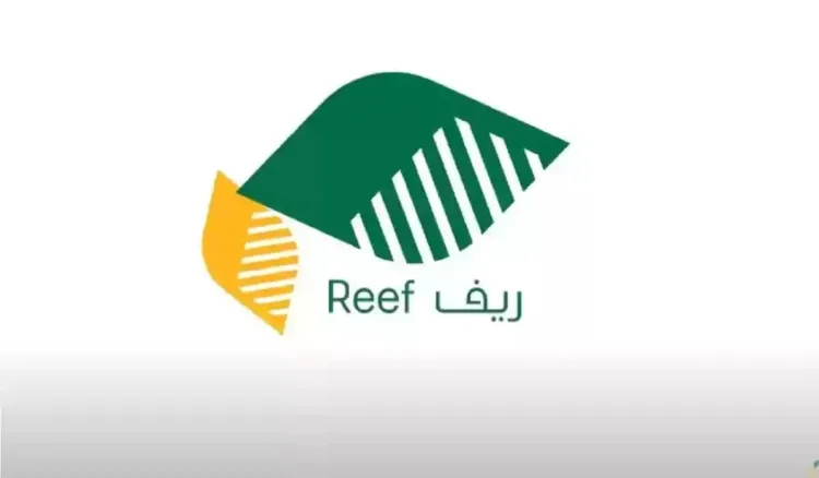 "ريف": أكثر من 57 ألف امرأة مؤهلة لدعم البرنامج منذ إطلاقه