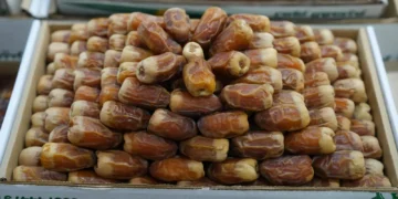 أكثر من 113 ألف زائر يحظون بتجارب تسوق فريدة لشراء أجود الأصناف في معرض التمور الموسمي الثالث بالرياض