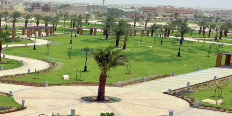 أمانة الرياض تشارك الأهالي مبادرة "حديقتي مسؤوليتي" في 25 موقعًا