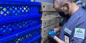 أمانة منطقة جازان تنفّذ” 4511 “جولة رقابة في أبو عريش