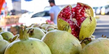 اختتام فعاليات مهرجان الرمان الوطني الـ 13 بالباحة بمبيعات بلغت مليوني ريال