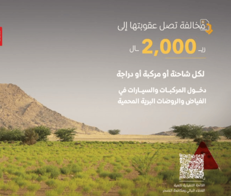  الغطاء النباتي: 2000 ريال غرامة دخول المركبات في الفياض والروضات البرية المحمية