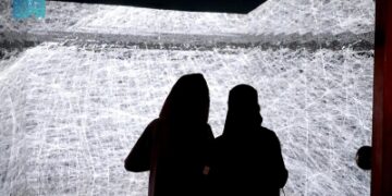 'الفيديو آرت'.. 67 عملاً فنياً من 27 دولة