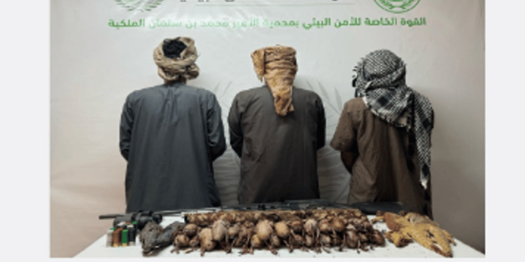 القبض على 3 أشخاص لارتكابهم مخالفة الصيد دون ترخيص بمنطقة تبوك