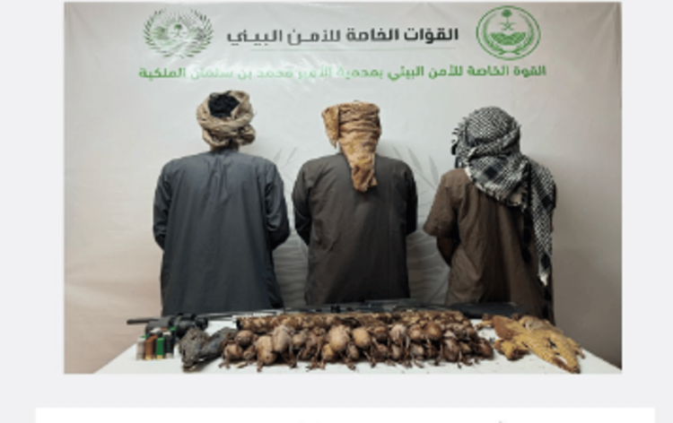 القبض على 3 أشخاص لارتكابهم مخالفة الصيد دون ترخيص بمنطقة تبوك