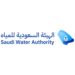 الهيئة السعودية للمياه تحصد جائزتين عالميتين في إدارة المشاريع