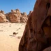 الهيئة الملكية لمحافظة العُلا تصدر تقريرها الأول عن “الاستدامة”
