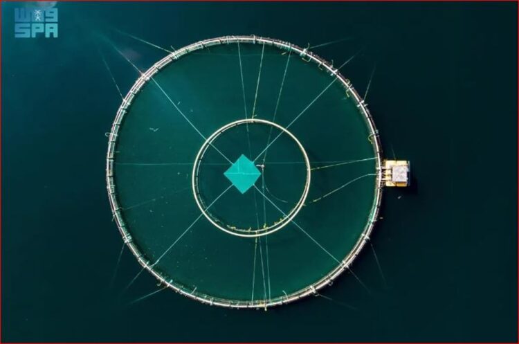 «الوطني للثروة السمكية» ينفذ برنامجًا تدريبيًا لتطوير شركات الاستزراع المائي