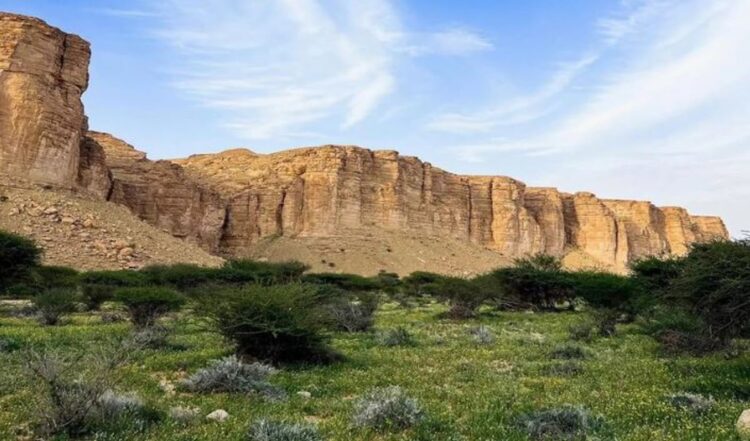 «الوعول» تنضم للقائمة الخضراء الدولية كأول محمية سعودية