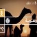 بمشاركة 24 فريقا.. انطلاق «هاكثون الإبل» لتعزيز قيمة الموروث الثقافي للمملكة