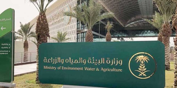 “بيئة نجران” تُنفذ 573 جولة رقابية على أسواق النفع العام والمسالخ بالمنطقة