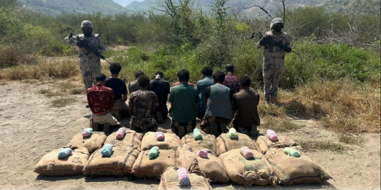 حرس الحدود بمنطقة جازان يقبض على 11 مخالفًا لنظام أمن الحدود لتهريبهم 345 كيلوجرامًا من نبات القات المخدر