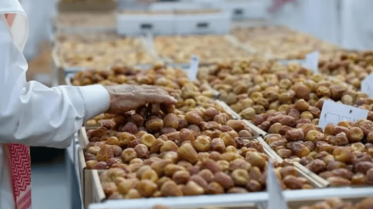 خبير: الغش بالتمور والمواد الحافظة ظاهرة جديدة على السوق  