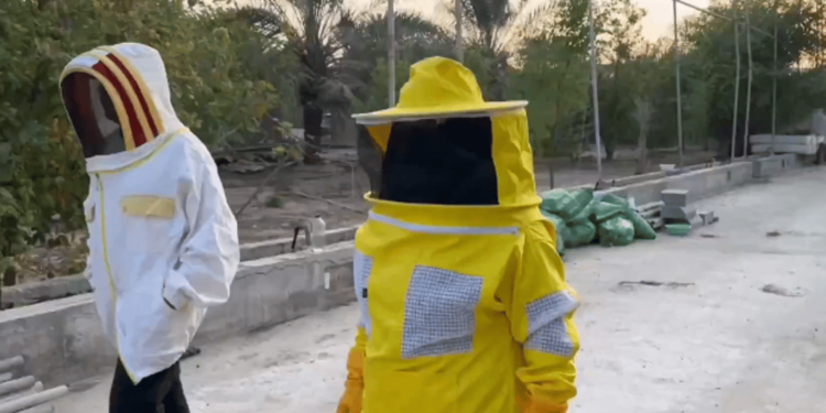 رحلة مربية نحل من مشروع للانتاج إلى حصد الجوائز العالمية (فيديو)