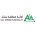 طرح 18 فرصة استثمارية في مدينة حائل