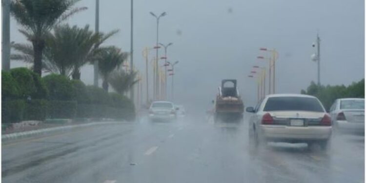 طقس المملكة الأربعاء.. أمطار رعدية وتكوّن للضباب على عدة مناطق