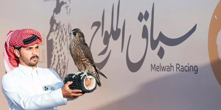 نادي الصقور السعودي يطلق سباق الملواح 2024 بشوط “شاهين فرخ”.. وتتويج 5 فائزين
