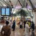 هبوط اضطراري لطائرة 'الرياض بومباي' بعُمان
