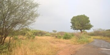 2000 ريال غرامة القيادة في أراضي الغطاء النباتي